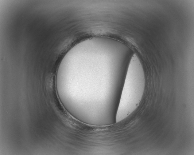 X0000063520495200601201129