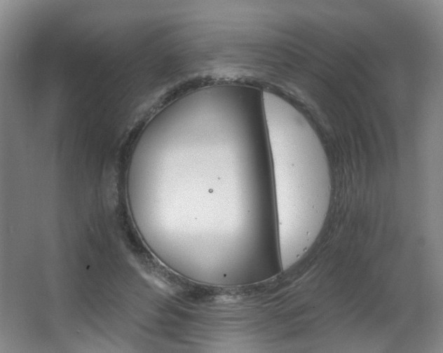 X0000063520496200601201129