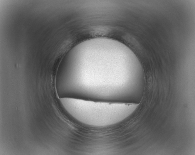 X0000063520498200601201129