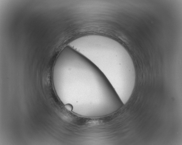 X0000063520499200601201129