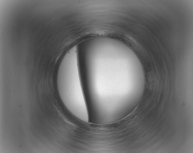 X0000063520500200601201129