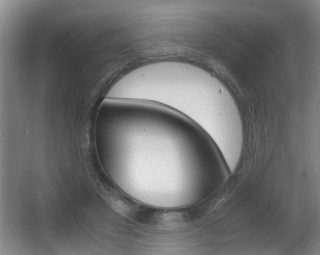 X0000063520501200601201129