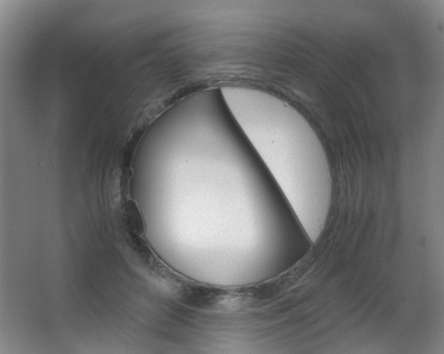 X0000063520504200601201129