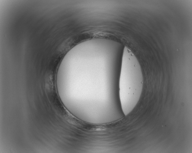 X0000063520506200601201129