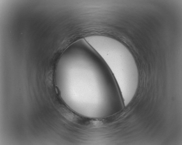 X0000063520509200601201129