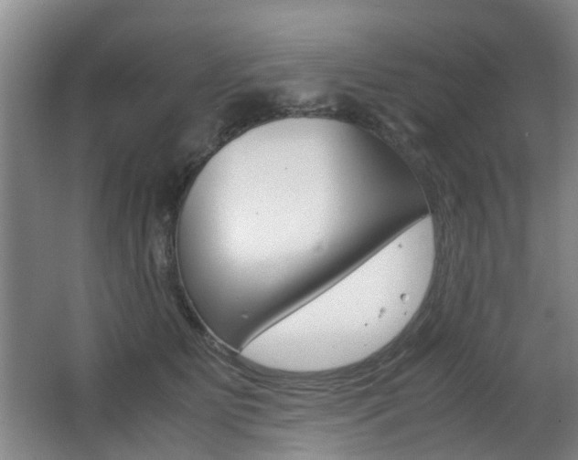 X0000063520515200601201129