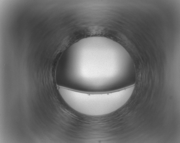 X0000063520516200601201129