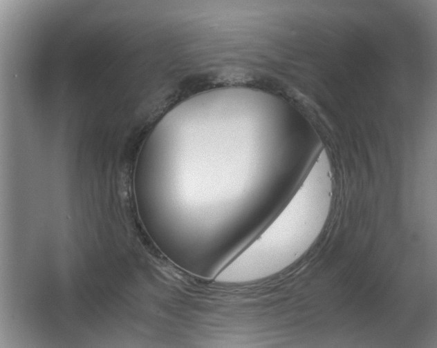 X0000063520517200601201129