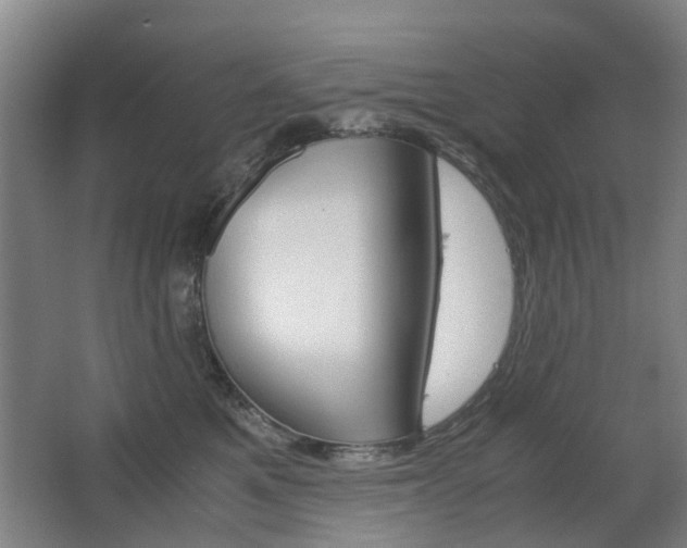 X0000063520521200601201128