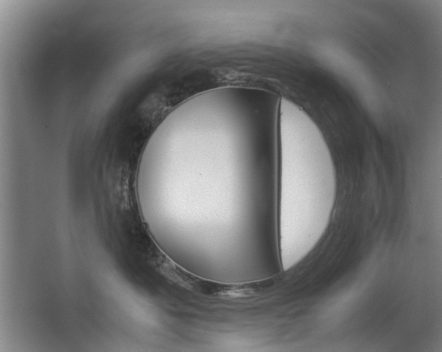 X0000063520525200601201128