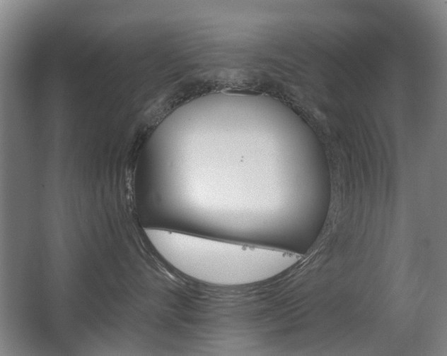 X0000063520528200601201128