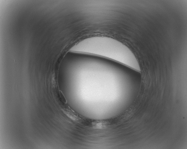 X0000063520564200601201128