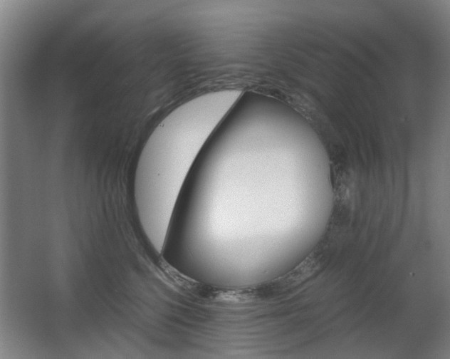 X0000063520568200601201128
