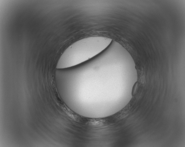 X0000063520569200601201128