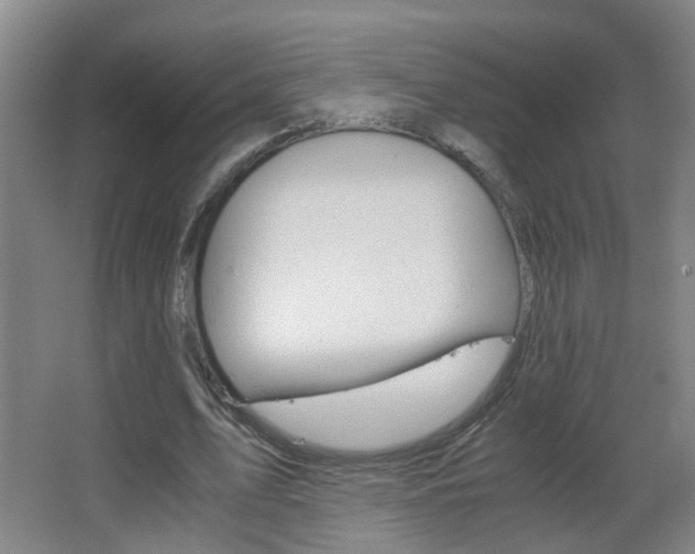 X0000063520583200601201127