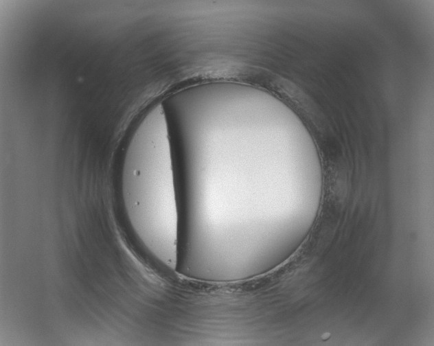 X0000063520586200601201127