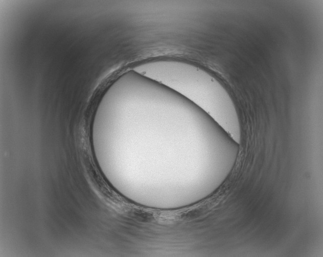 X0000063520587200601201127
