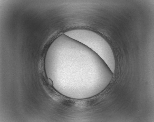 X0000063520591200601201127