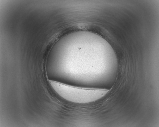 X0000063520595200601201127