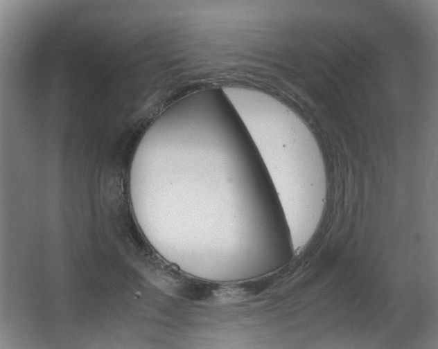 X0000063520603200601201127
