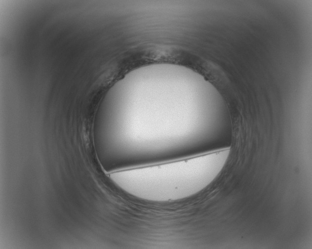 X0000063520607200601201127