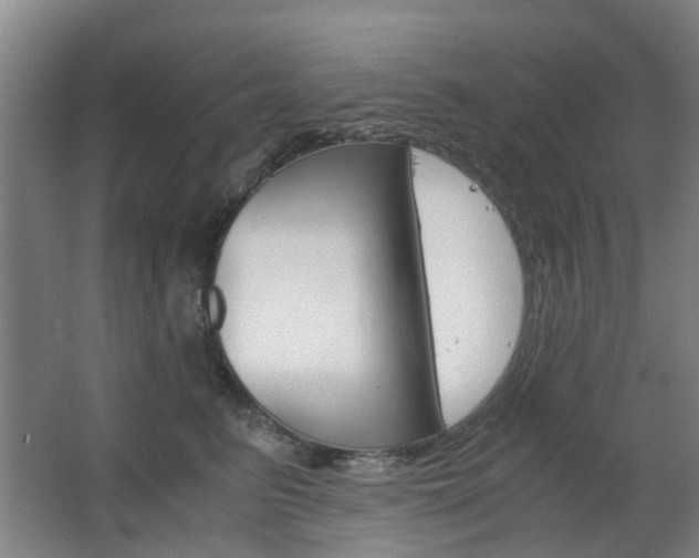 X0000063520615200601201127