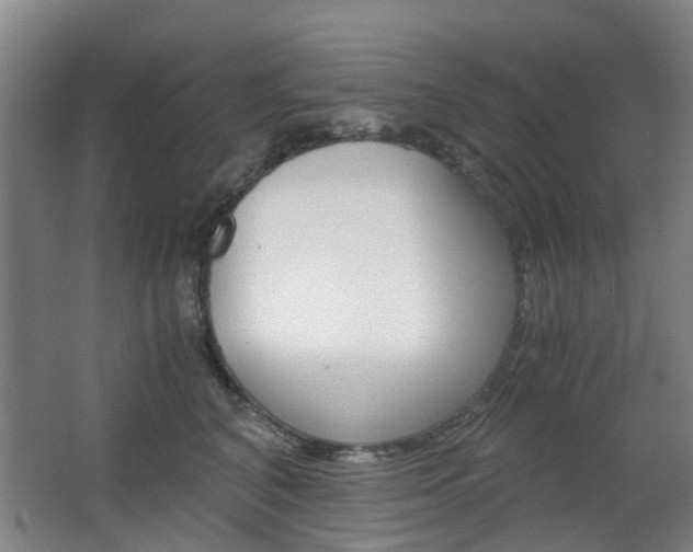 X0000063520616200601201127