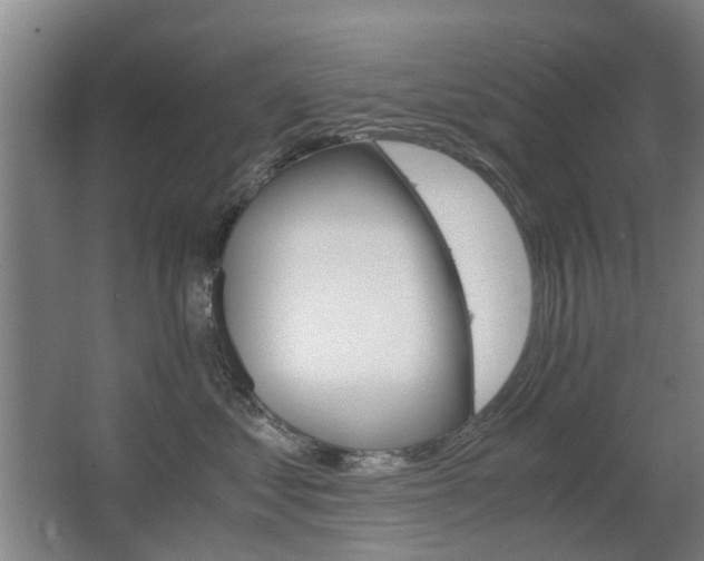 X0000063520621200601201127
