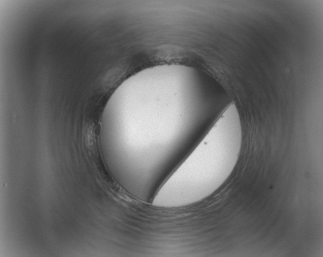 X0000063520623200601201127