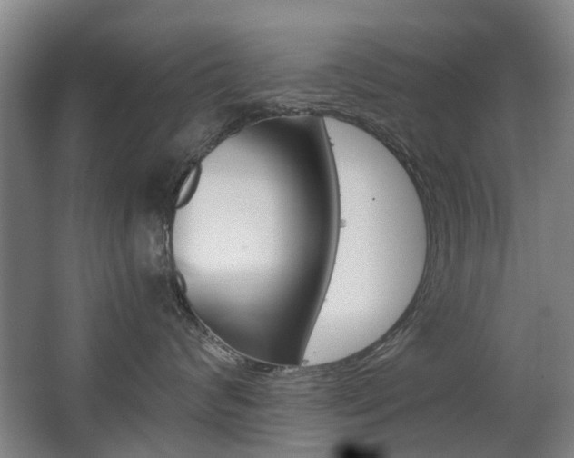 X0000063520624200601201127