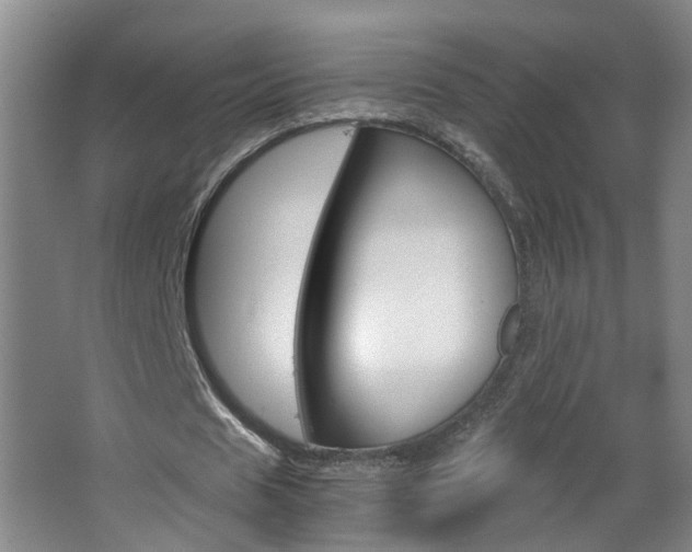 X0000063520625200601201126