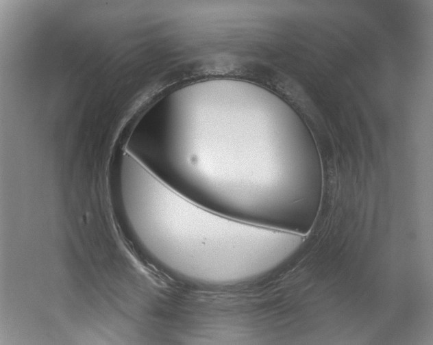 X0000063520626200601201126