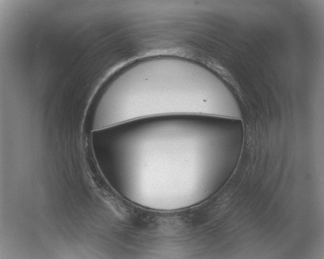X0000063520628200601201126