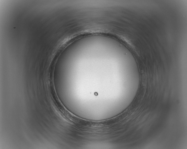 X0000063520631200601201126