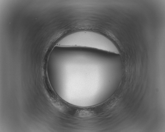 X0000063520635200601201126