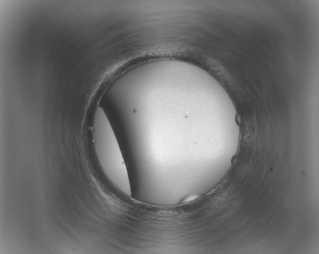 X0000063520636200601201126