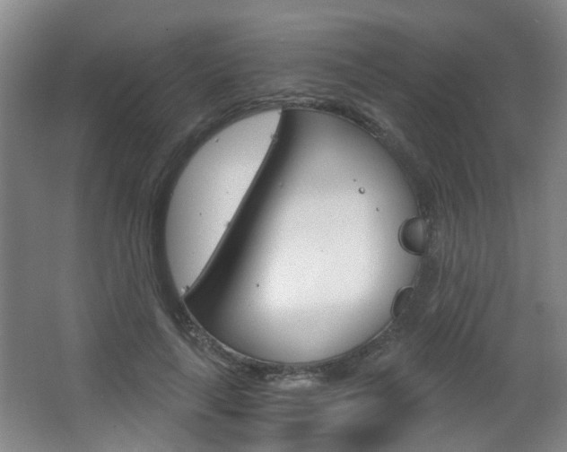X0000063520643200601201126