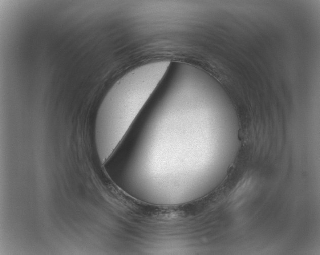 X0000063520646200601201126