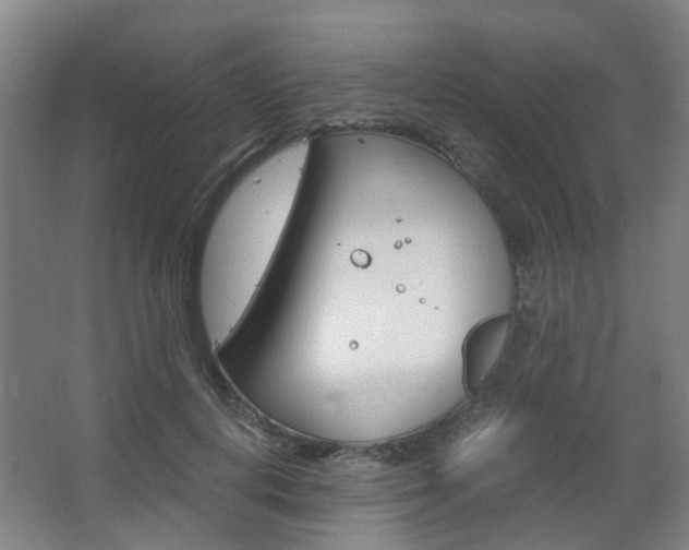 X0000063520648200601201126