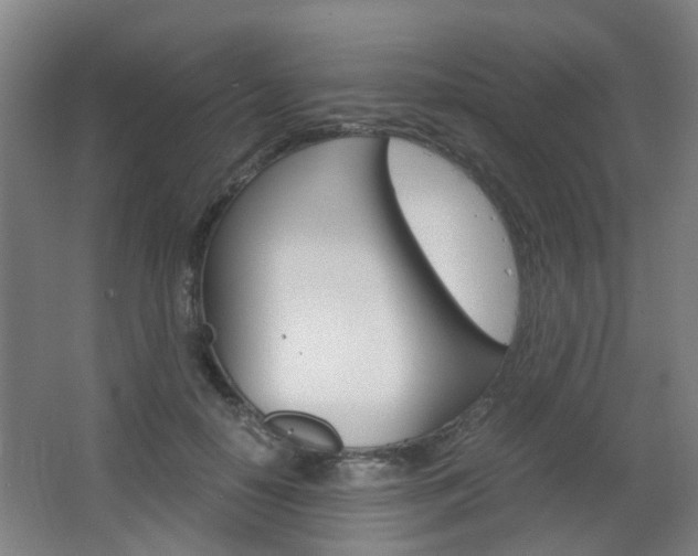 X0000063520650200601201126