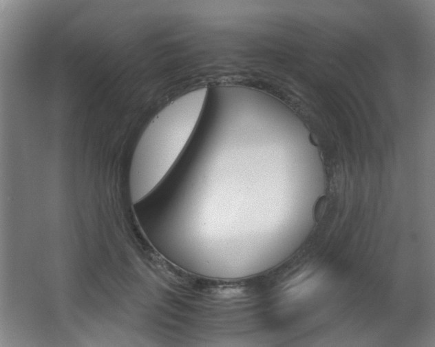 X0000063520651200601201126
