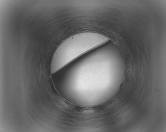 X0000063520653200601201126