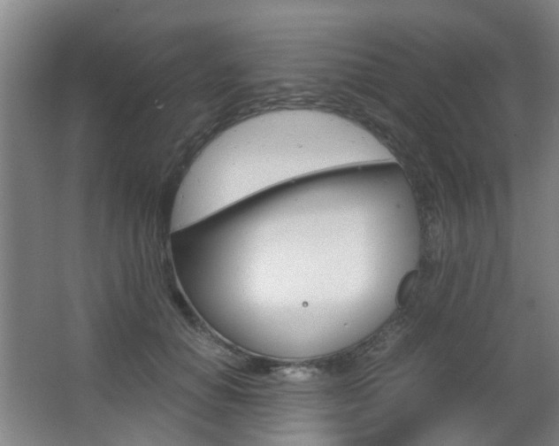 X0000063520654200601201126