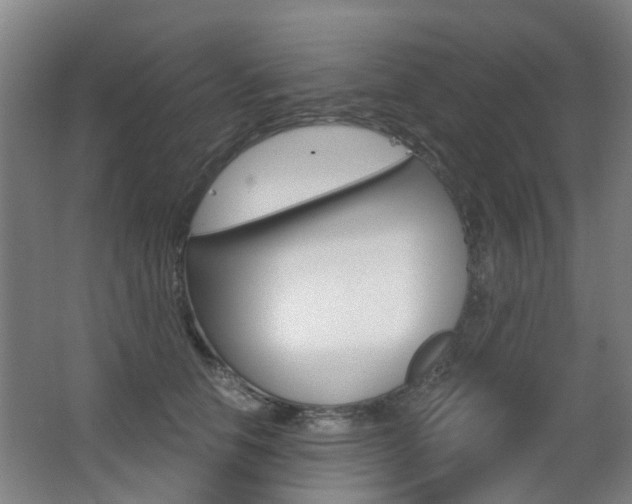 X0000063520658200601201126