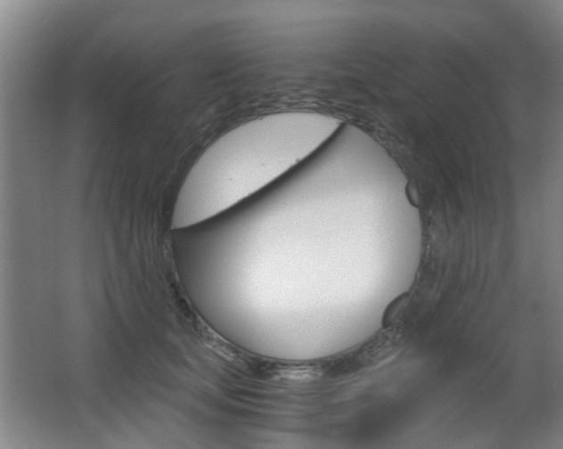 X0000063520659200601201126