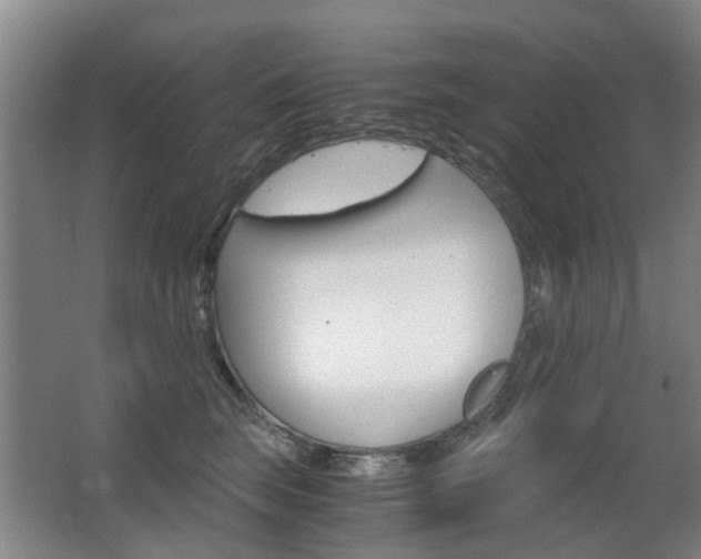 X0000063520663200601201127