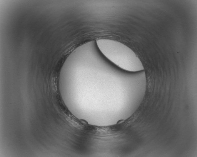 X0000063520666200601201127