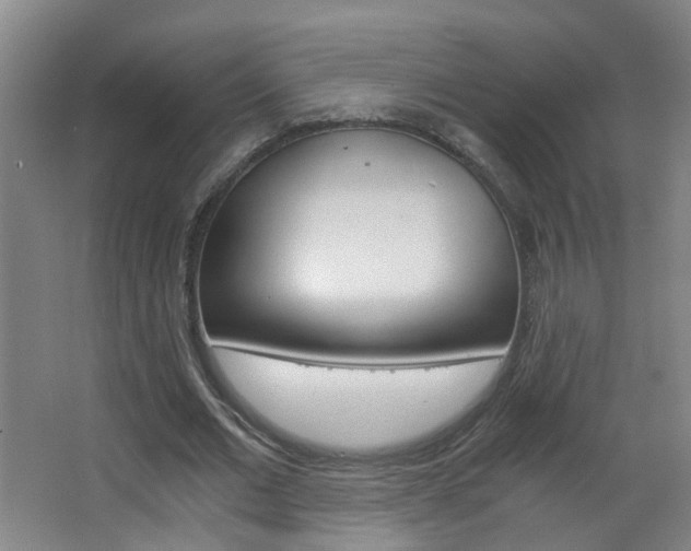 X0000063520677200601201126