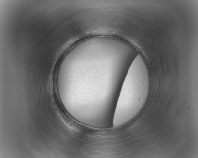 X0000063520678200601201126