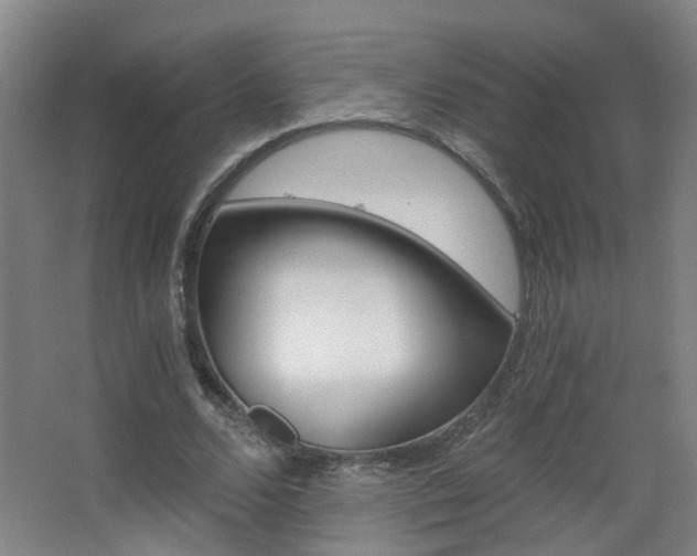 X0000063520680200601201126